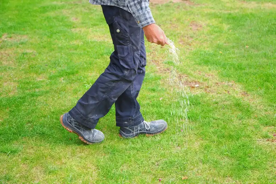 Efficient Lawn Fertilization in Beaumont, TX