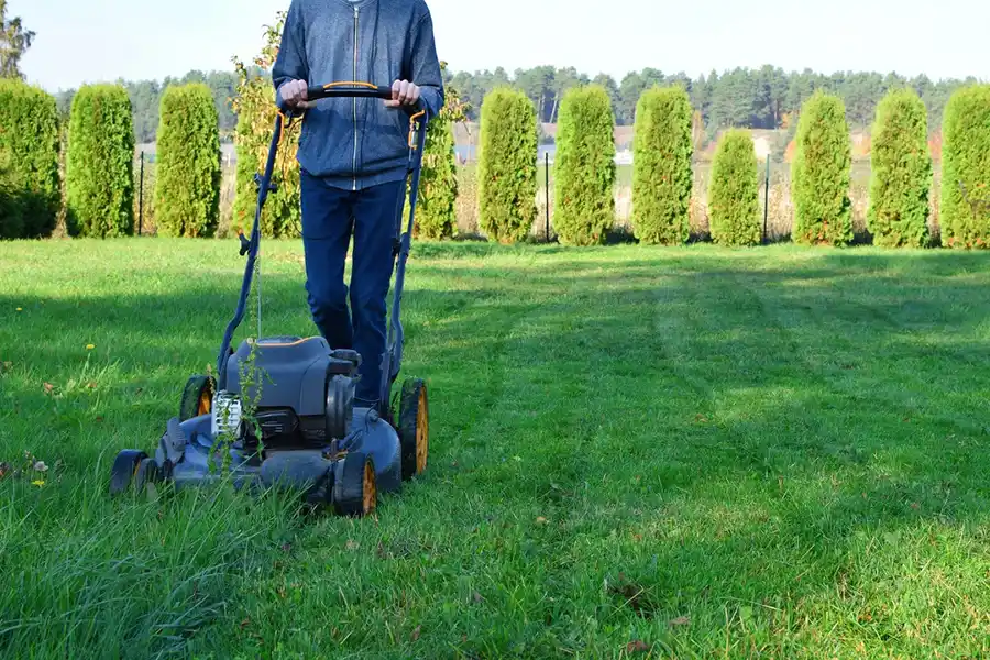 Efficient Lawn Mowing in Beaumont, TX