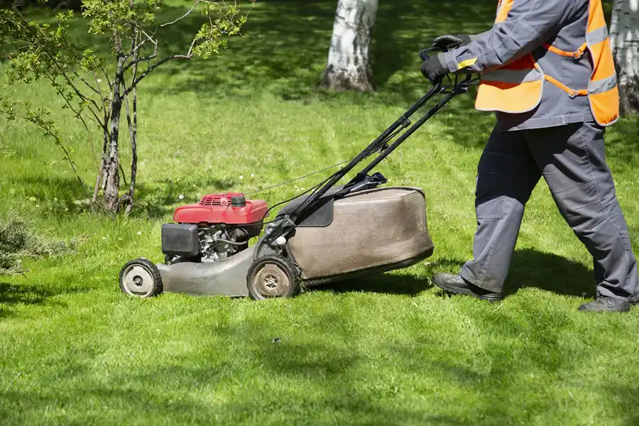 Reliable Lawn Mowing in Beaumont, TX