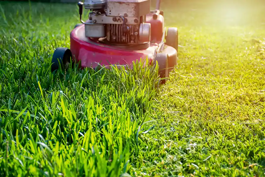 Lawn Mowing