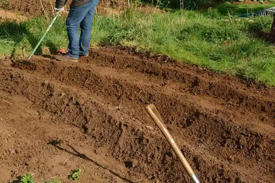 Best Mulching in Beaumont, TX