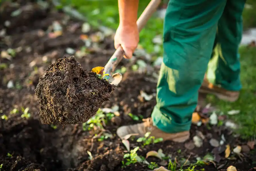 Reliable Mulching in Beaumont, TX