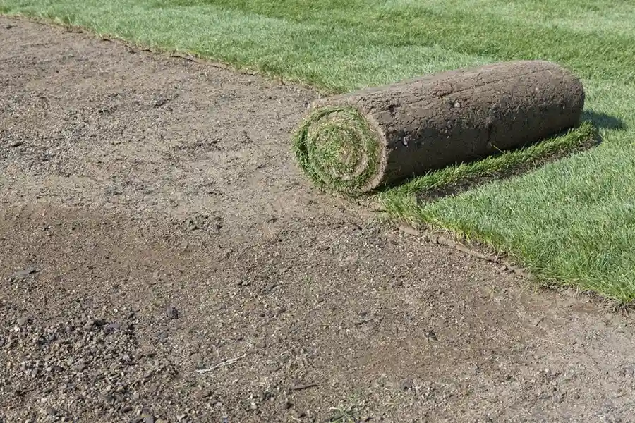 Efficient Sod Installation in Beaumont, TX