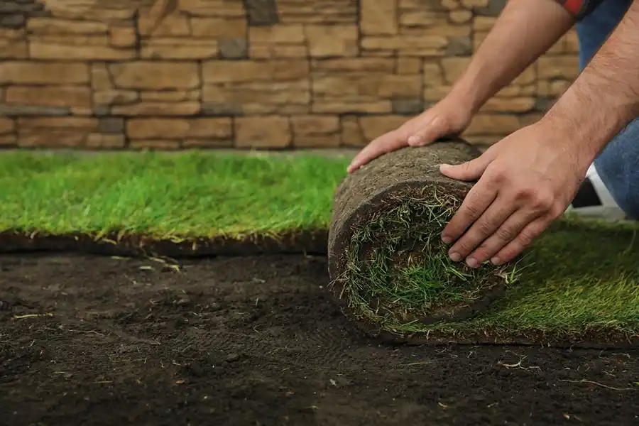 Reliable Sod Installation in Beaumont, TX